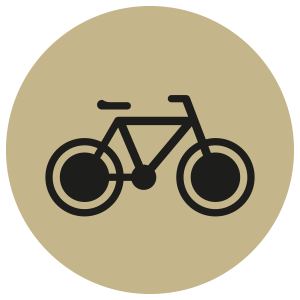 icon cycle